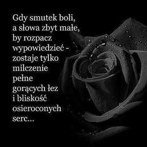 Meet your Posher, Jozefa